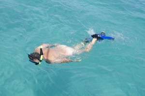 Wearing clothes is optional at the reef